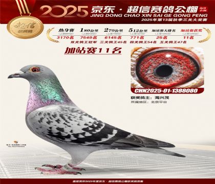 京东超信加站赛11名