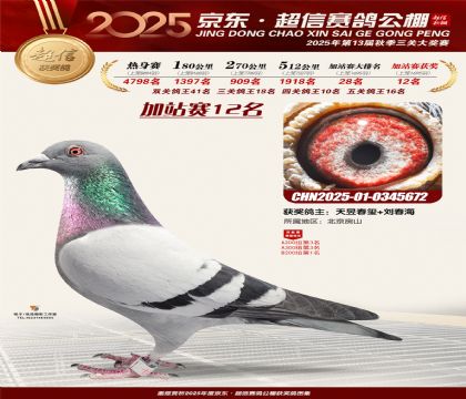 京东超信加站赛12名