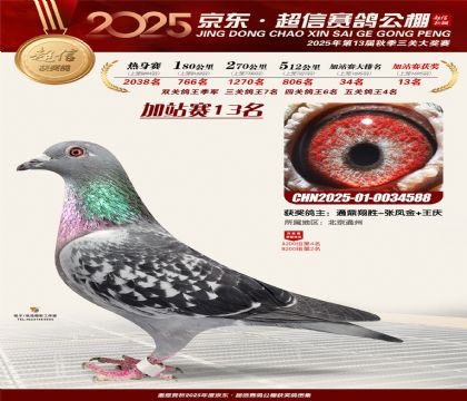 京东超信加站赛13名