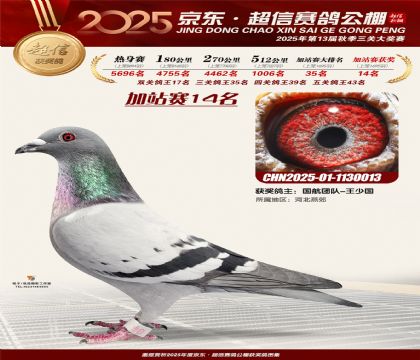 京东超信加站赛14名