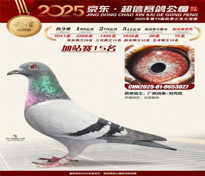 京东超信加站赛15名