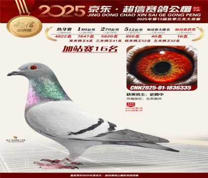 京东超信加站赛16名