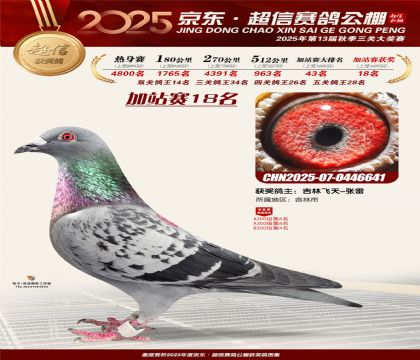 京东超信加站赛18名