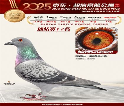 京东超信加站赛17名