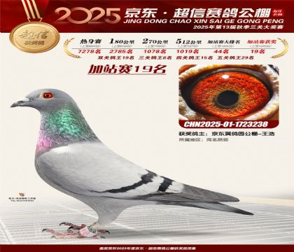 京东超信加站赛19名