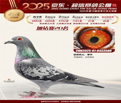 京东超信加站赛20名