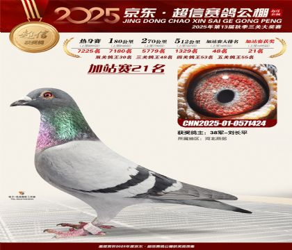 京东超信加站赛21名