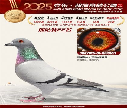 京东超信加站赛22名