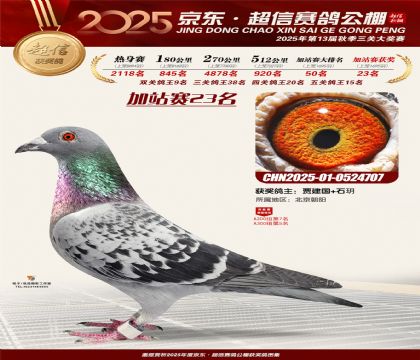 京东超信加站赛23名