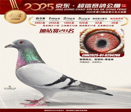 京东超信加站赛28名