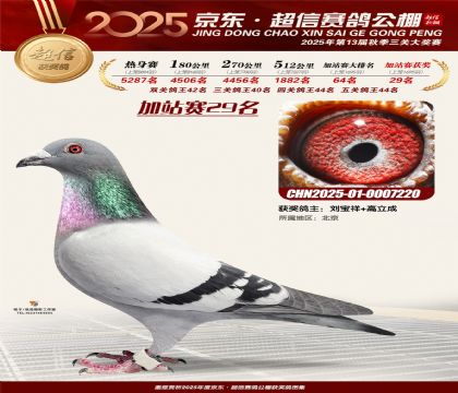 京东超信加站赛29名