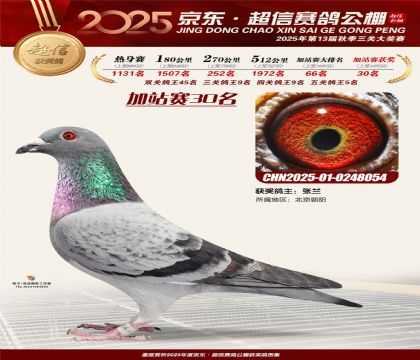 京东超信加站赛30名