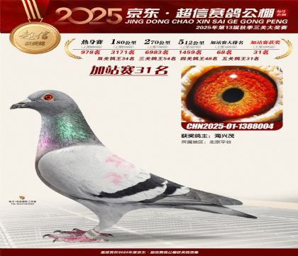 京东超信加站赛31名