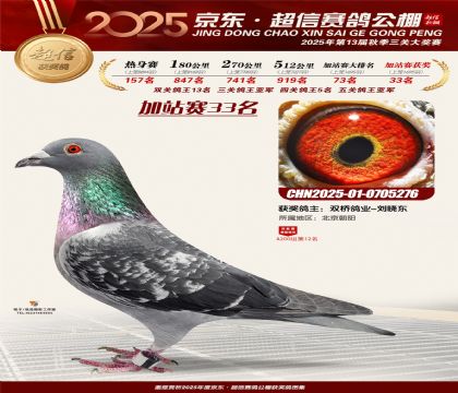 京东超信加站赛33名