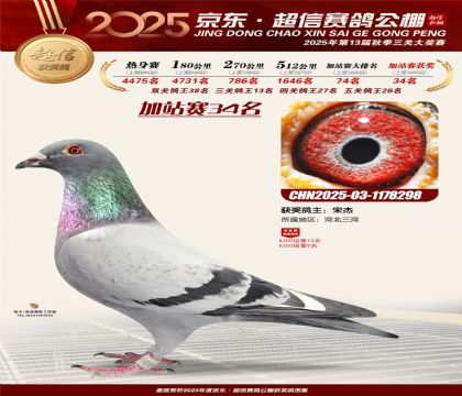 京东超信加站赛34名