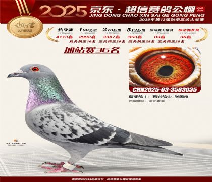 京东超信加站赛36名