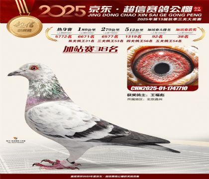 京东超信加站赛38名