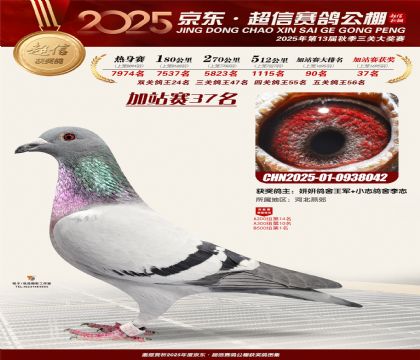 京东超信加站赛37名