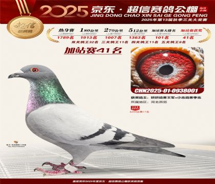 京东超信加站赛41名