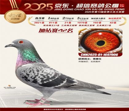 京东超信加站赛42名