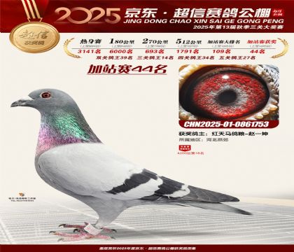 京东超信加站赛44名