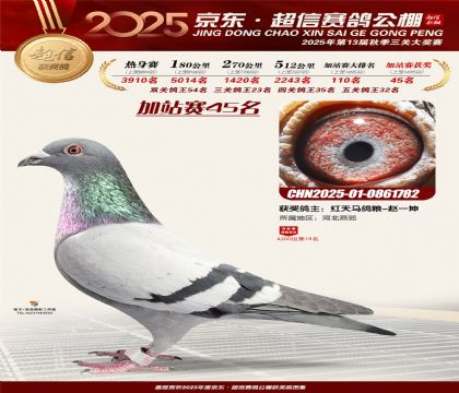 京东超信加站赛45名