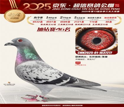 京东超信加站赛46名