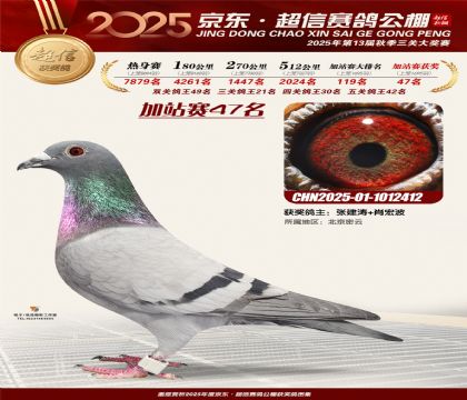 京东超信加站赛47名