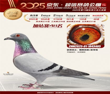 京东超信加站赛48名