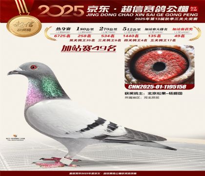 京东超信加站赛49名