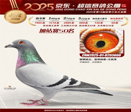 京东超信加站赛50名