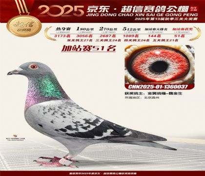 京东超信加站赛51名