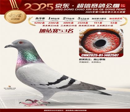 京东超信加站赛53名