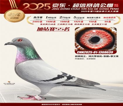 京东超信加站赛55名