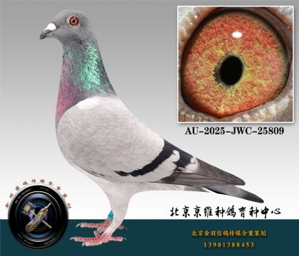 51-AU-2025-JWC-25809