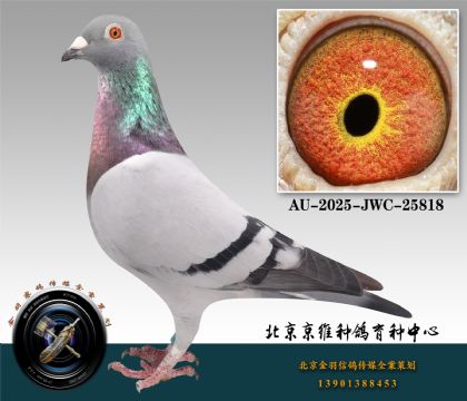 64-AU-2025-JWC-25818