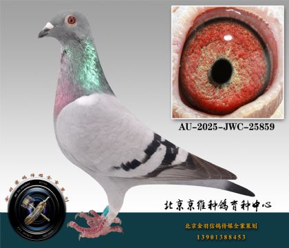 68-AU-2025-JWC-25859