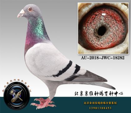 173-AU-2018-JWC-18282