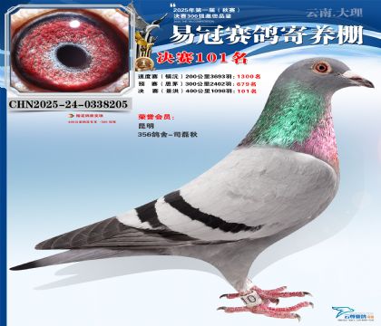 云南易冠決賽101名