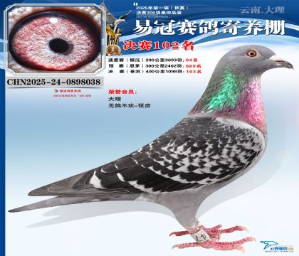 云南易冠決賽102名