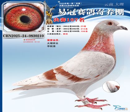 云南易冠決賽107名(三關(guān)鴿王4名)