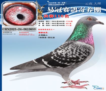 云南易冠決賽110名