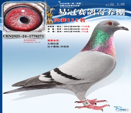 云南易冠決賽111名