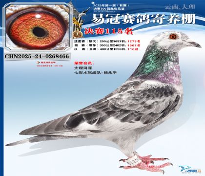 云南易冠決賽115名