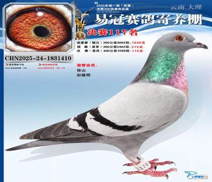 云南易冠決賽117名