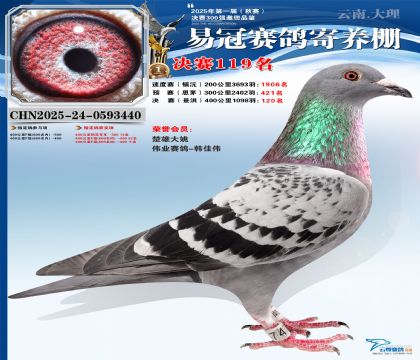 云南易冠決賽119名