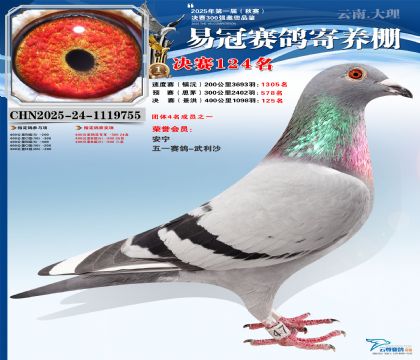 云南易冠決賽124名