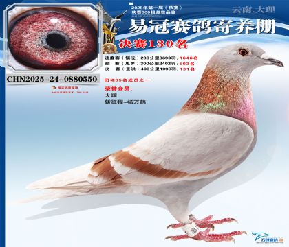 云南易冠決賽130名