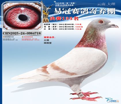 云南易冠決賽135名