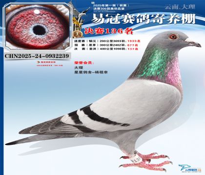 云南易冠決賽136名